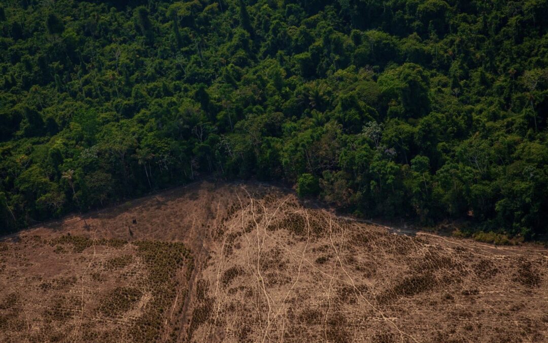 Réponse hydrologique au changement d’usage des sols au bassin de l’Amazonie