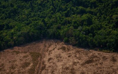 Réponse hydrologique au changement d’usage des sols au bassin de l’Amazonie